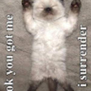 Meet your Posher, Raquel